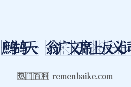 鹧鸪天·翁广文席上反义词是什么意思的图片